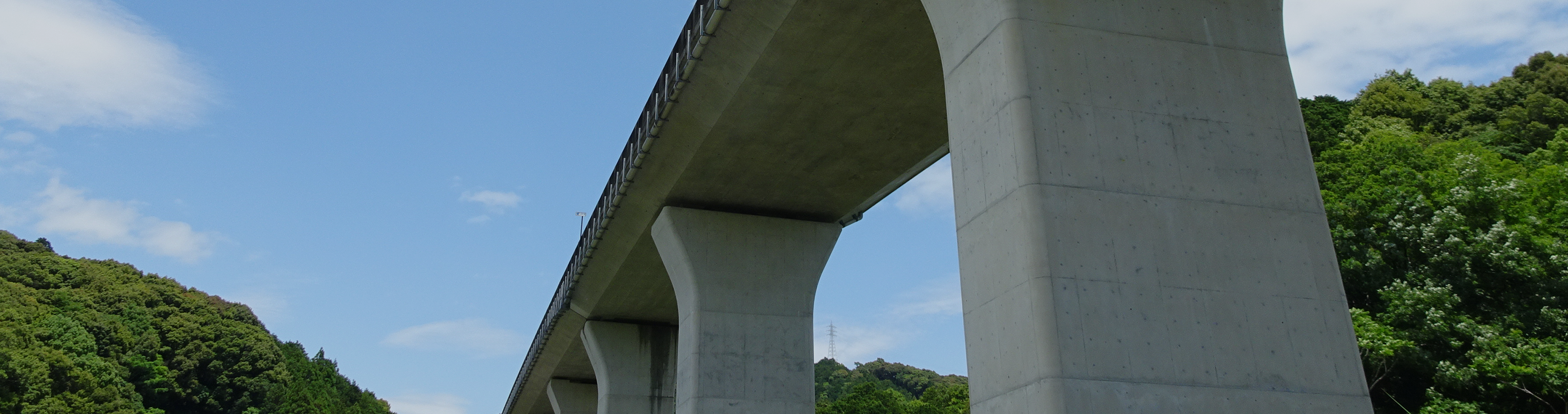 業務内容